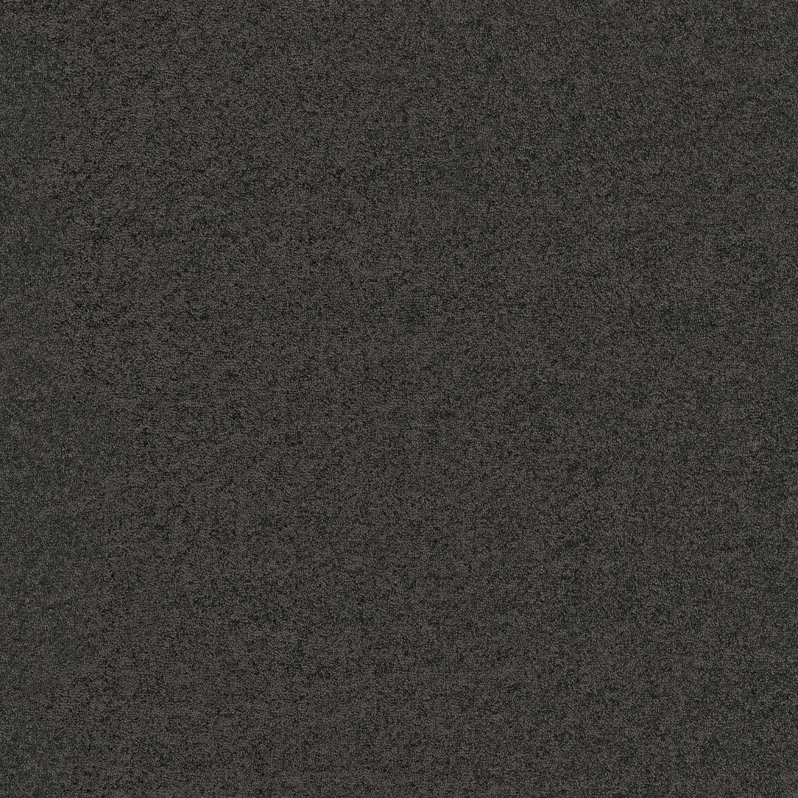 Ambiant Maryland Antraciet 0205 - Vloerbedekking - Tapijt