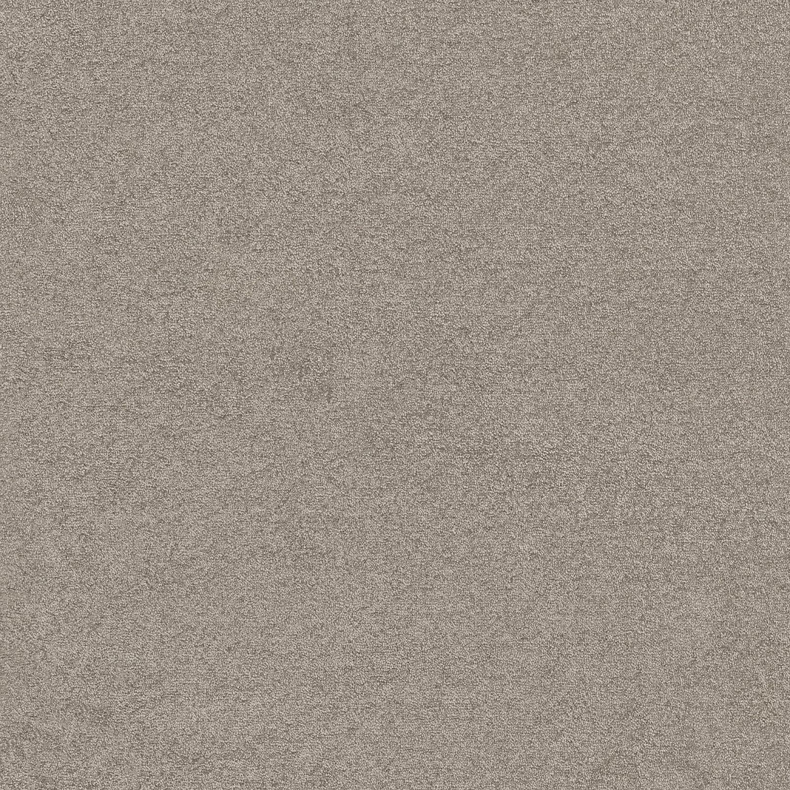 Ambiant Maryland Grijsbeige 0496 - Vloerbedekking - Tapijt