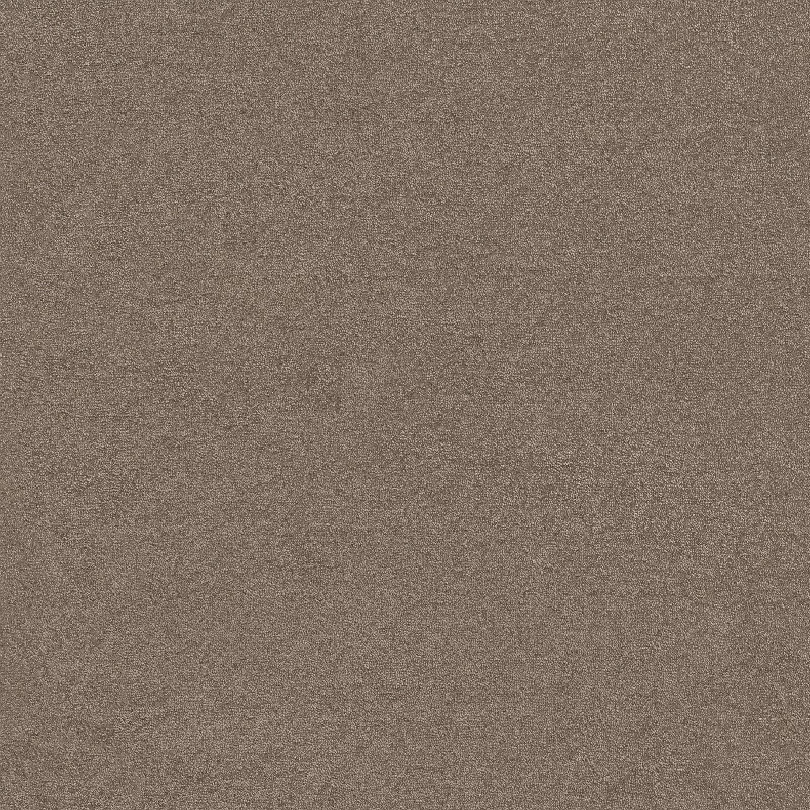 Ambiant Maryland Taupe 0535 - Vloerbedekking - Tapijt
