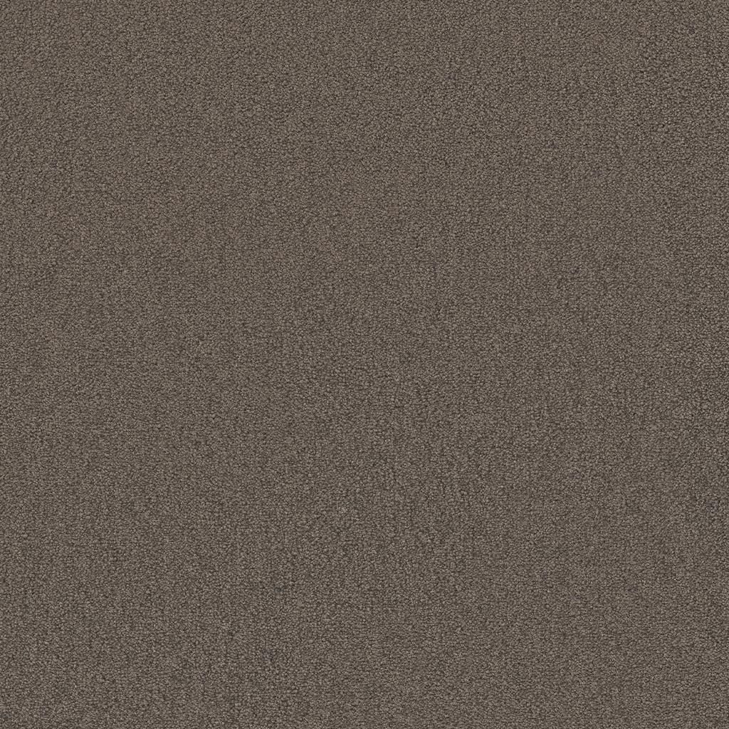 Ambiant Nashville Grijsbruin 0119 - Vloerbedekking - Tapijt