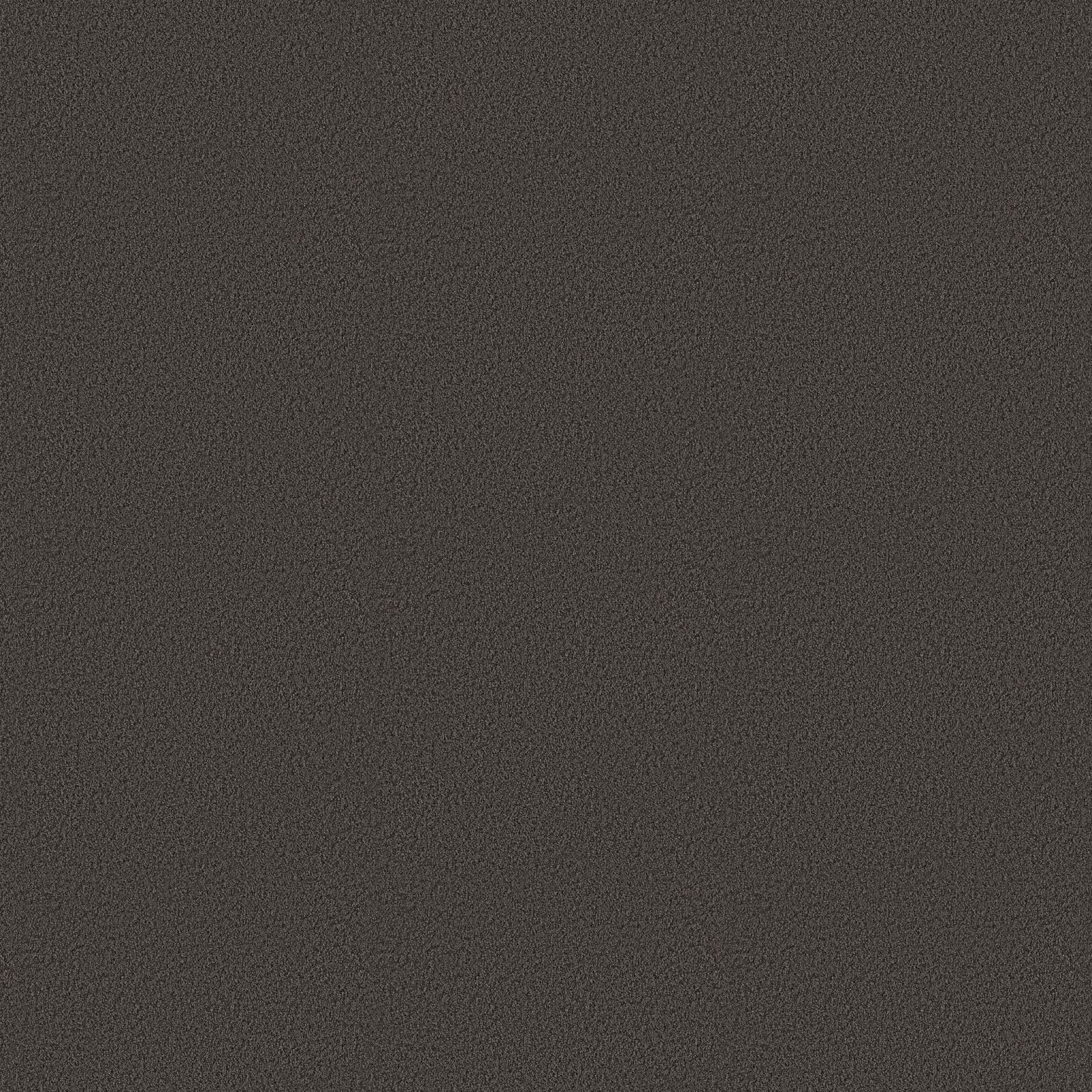 Ambiant Newberry Antraciet 0205 - Vloerbedekking - Tapijt