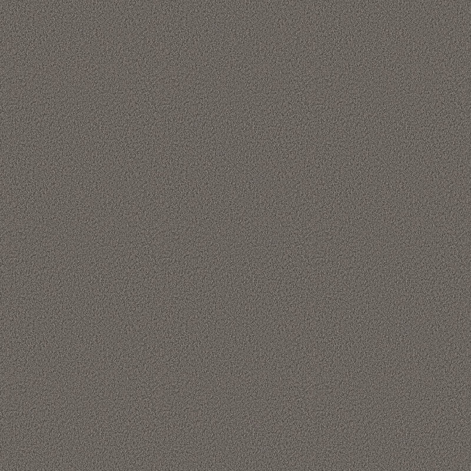 Ambiant Newberry Donkergrijs 0101 - Vloerbedekking - Tapijt