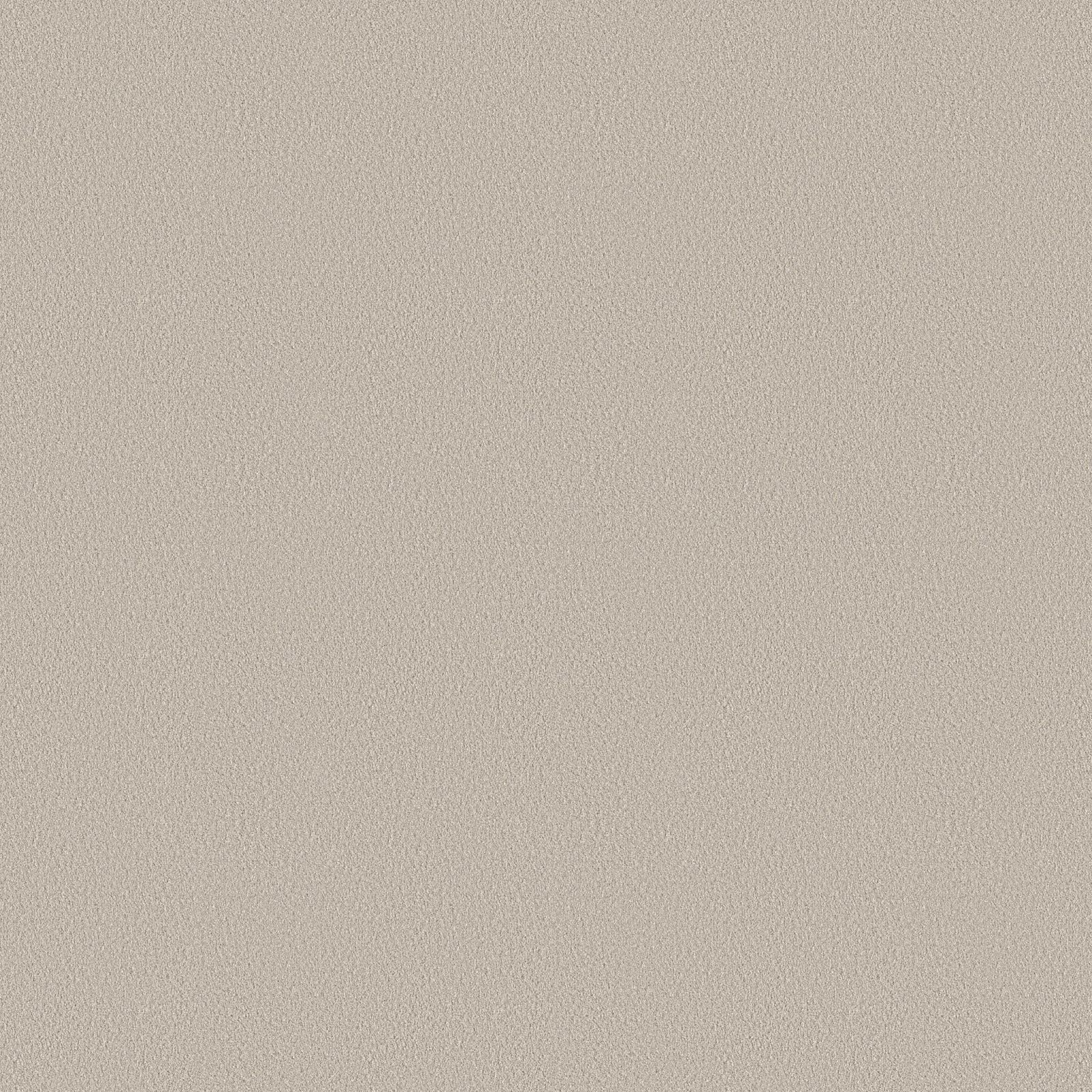 Ambiant Newberry Parelgrijs 0105 - Vloerbedekking - Tapijt