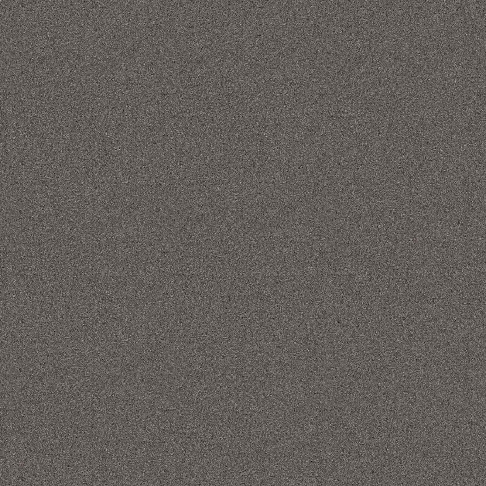 Ambiant Newport Donkergrijs 0101 - Vloerbedekking - Tapijt