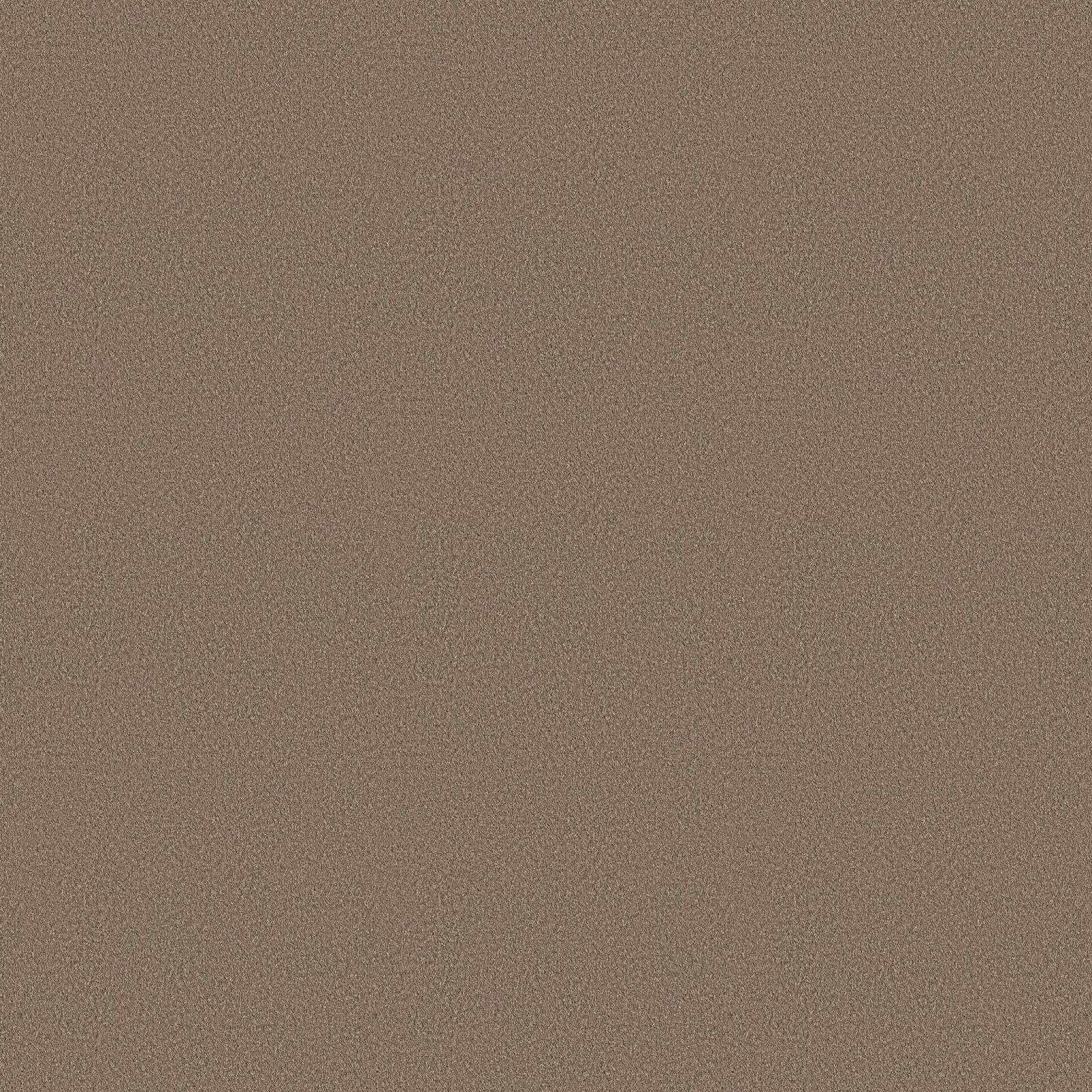 Ambiant Newport Lichtbruin 0602 - Vloerbedekking - Tapijt