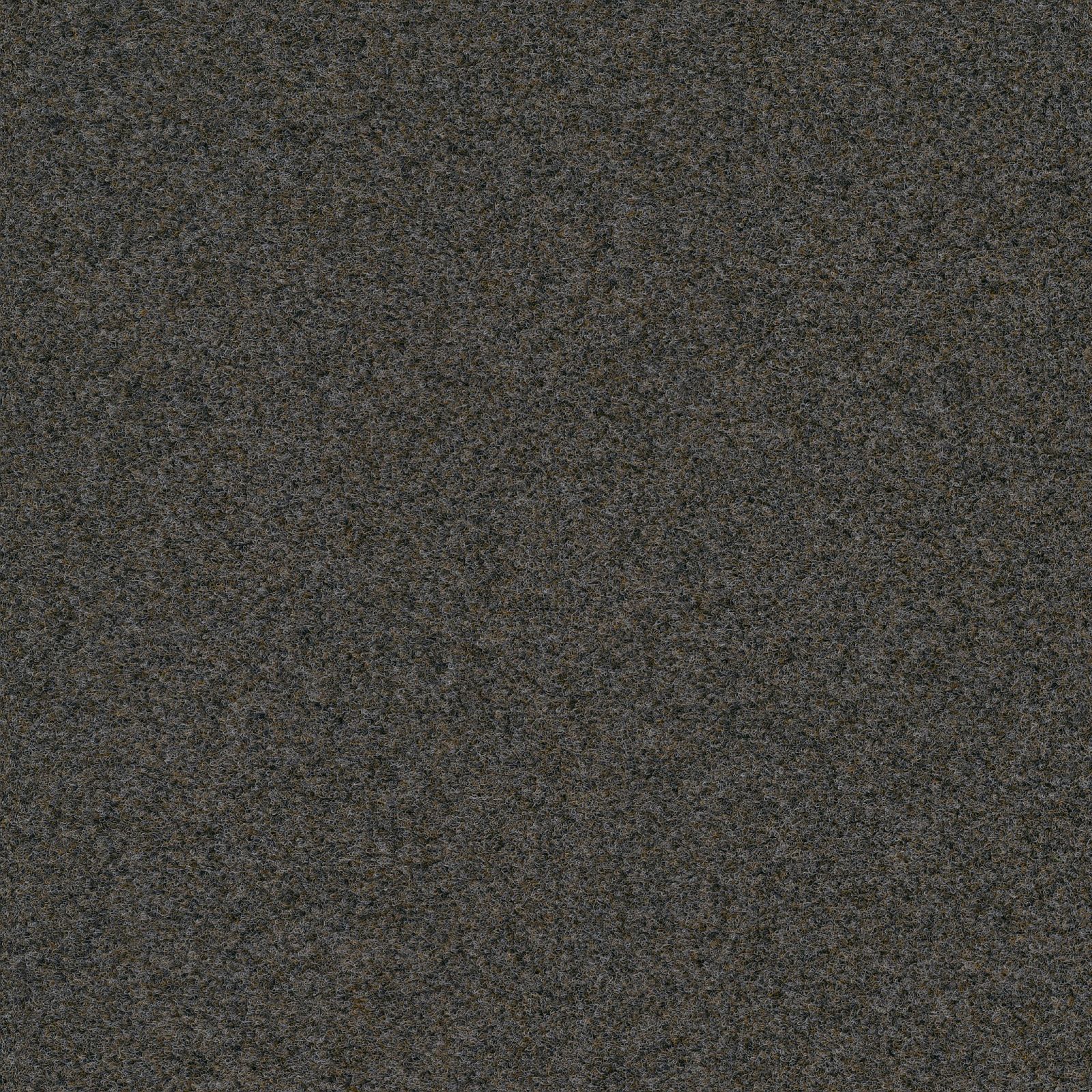 Ambiant Novazon Bruingrijs 0125 - Vloerbedekking - Tapijt