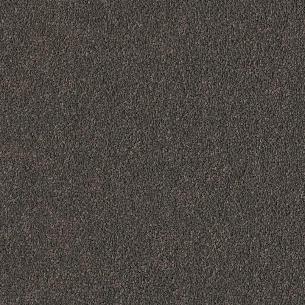 Ambiant Pittsburgh Olifant 0120 - Vloerbedekking - Tapijt