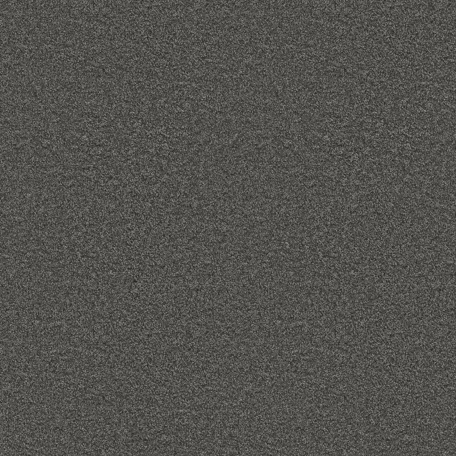Ambiant Portland Antraciet 0205 - Vloerbedekking - Tapijt