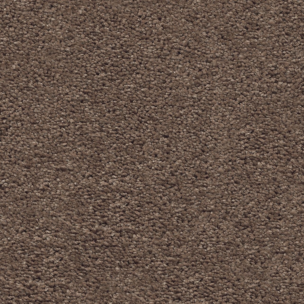 Belakos Andaz 45 - Vloerbedekking - Tapijt