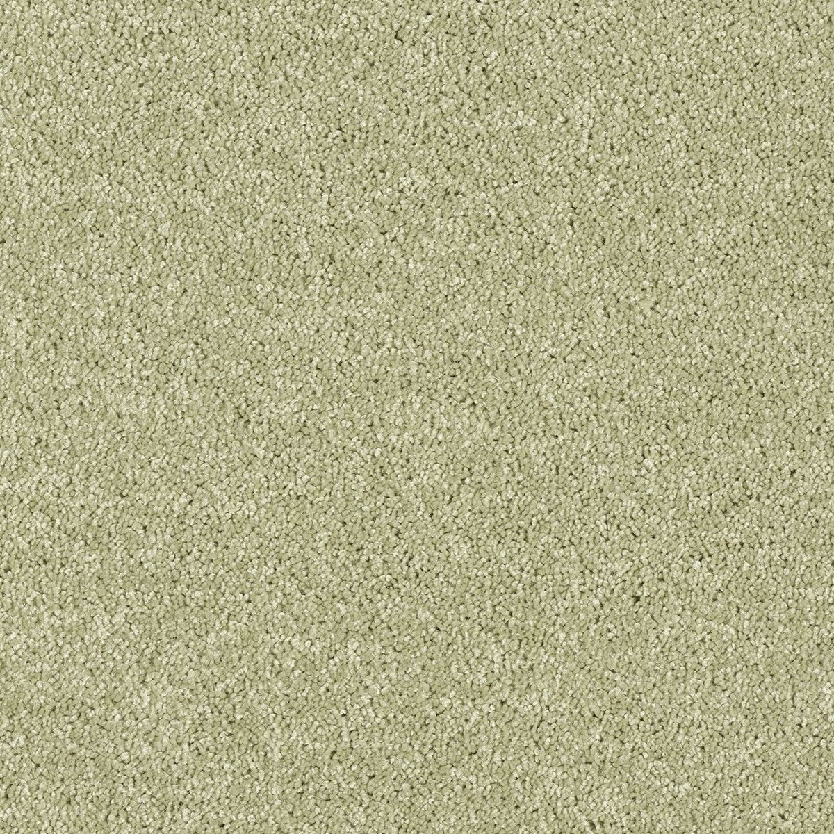 Belakos Award 24 - Vloerbedekking - Tapijt