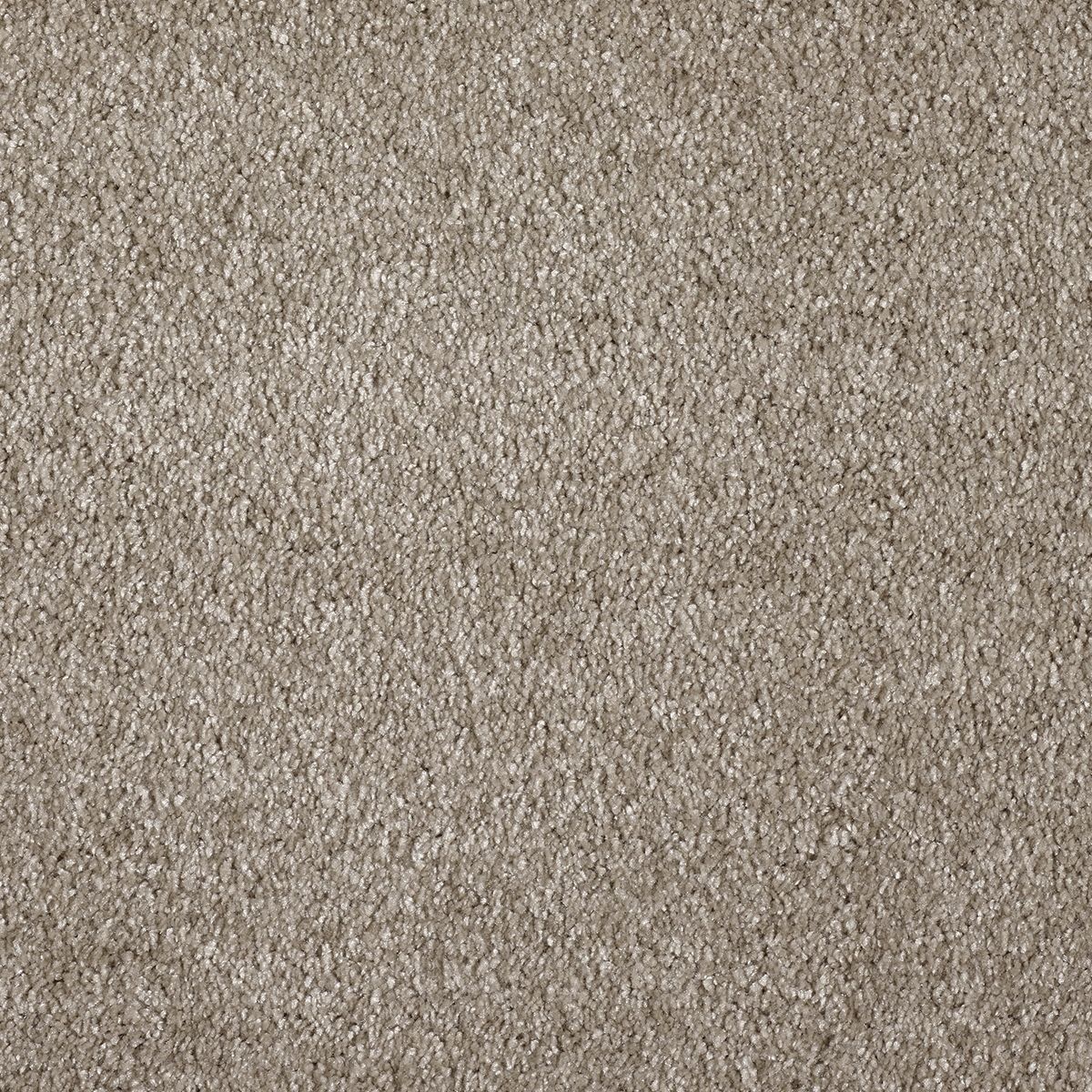 Belakos Award 34 - Vloerbedekking - Tapijt