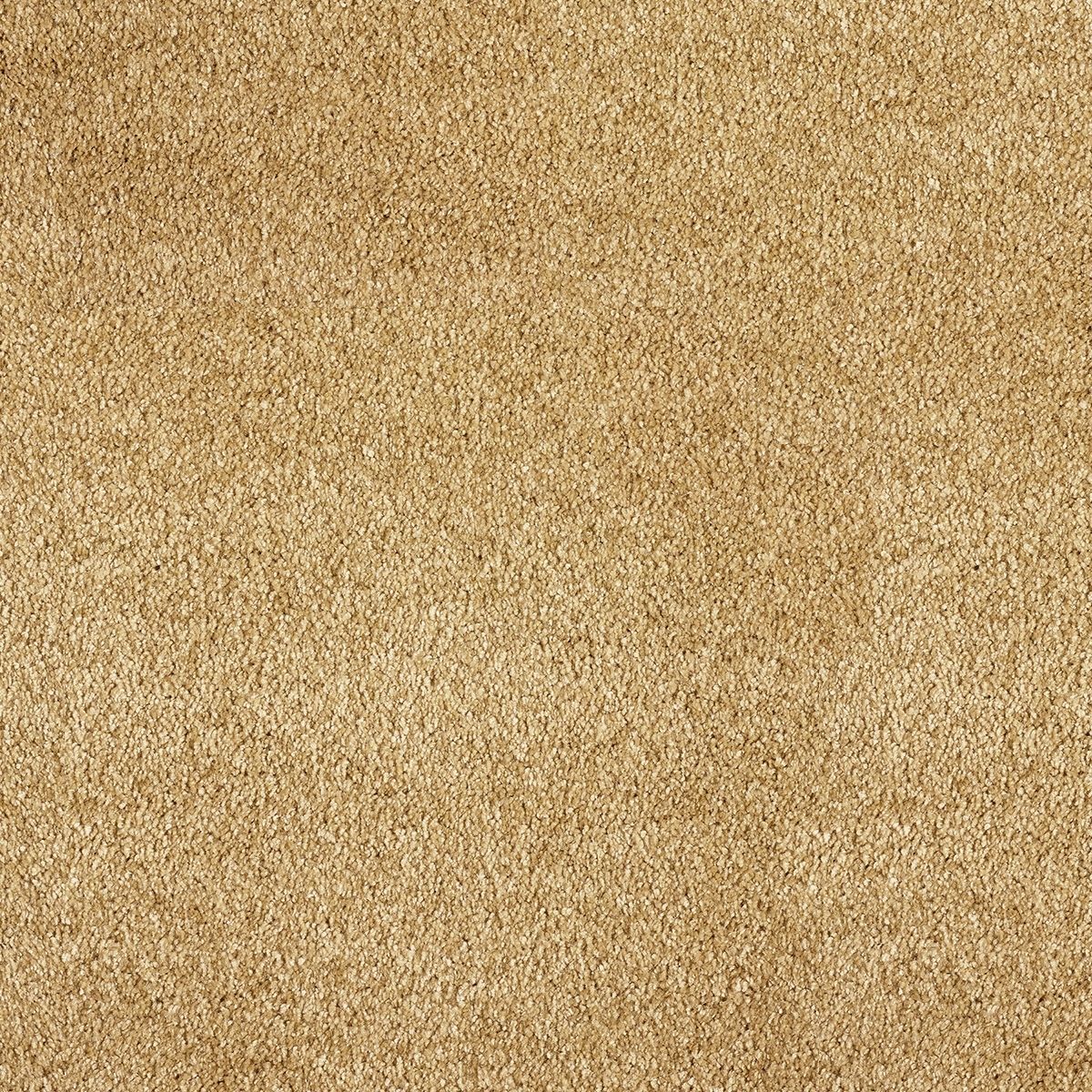 Belakos Award 35 - Vloerbedekking - Tapijt