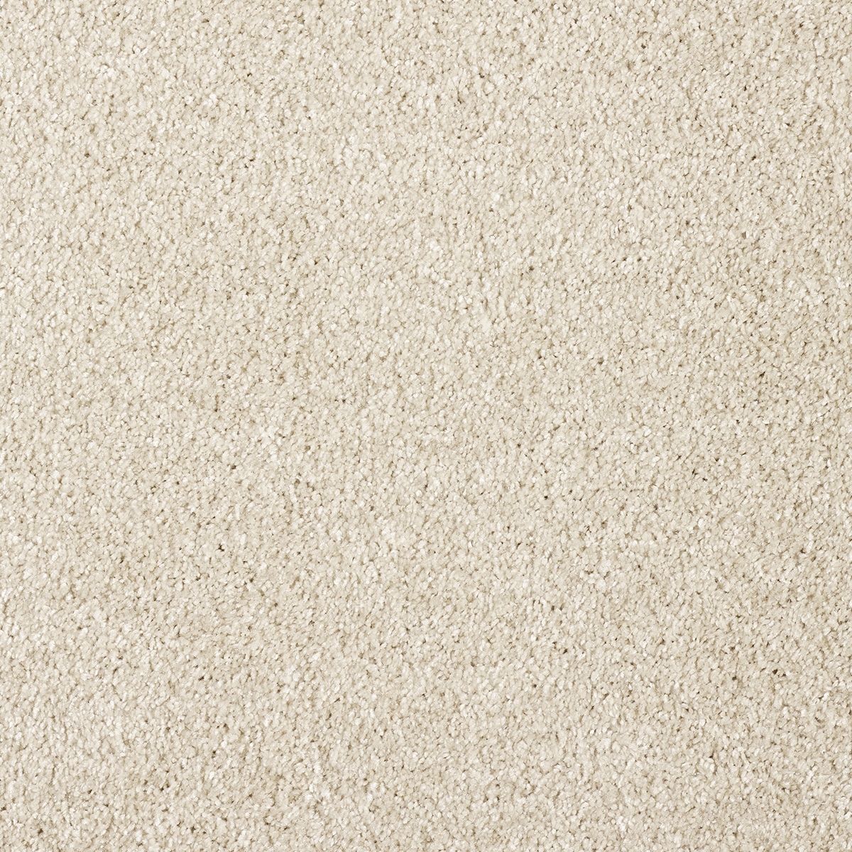 Belakos Award 36 - Vloerbedekking - Tapijt