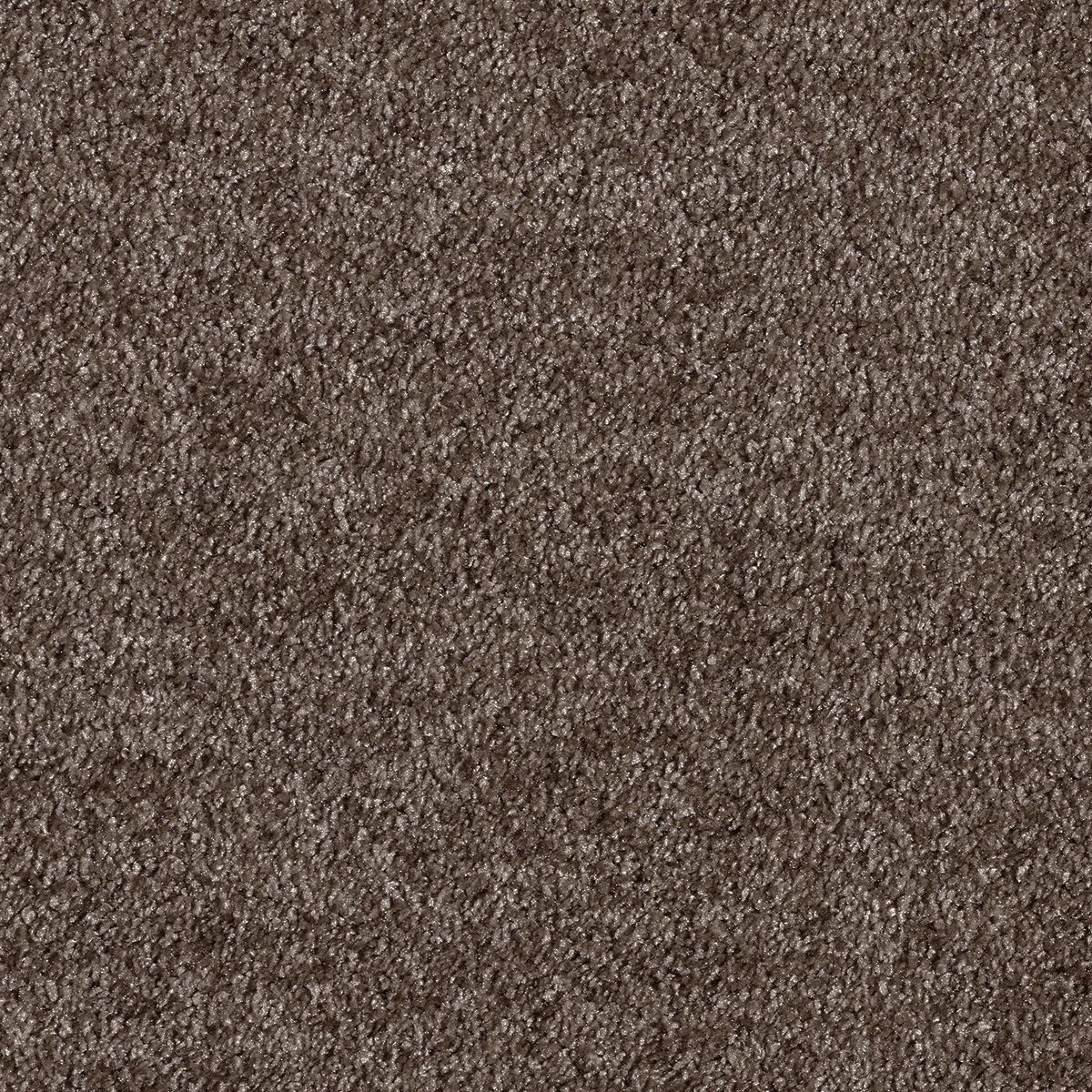 Belakos Award 44 - Vloerbedekking - Tapijt