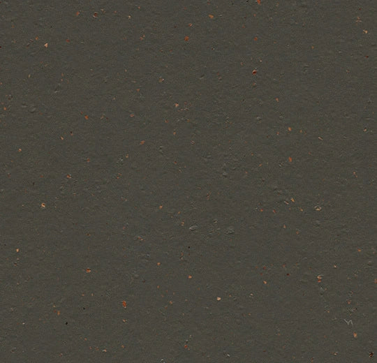 Marmoleum Cocoa 3591 Black Tea - Linoleum