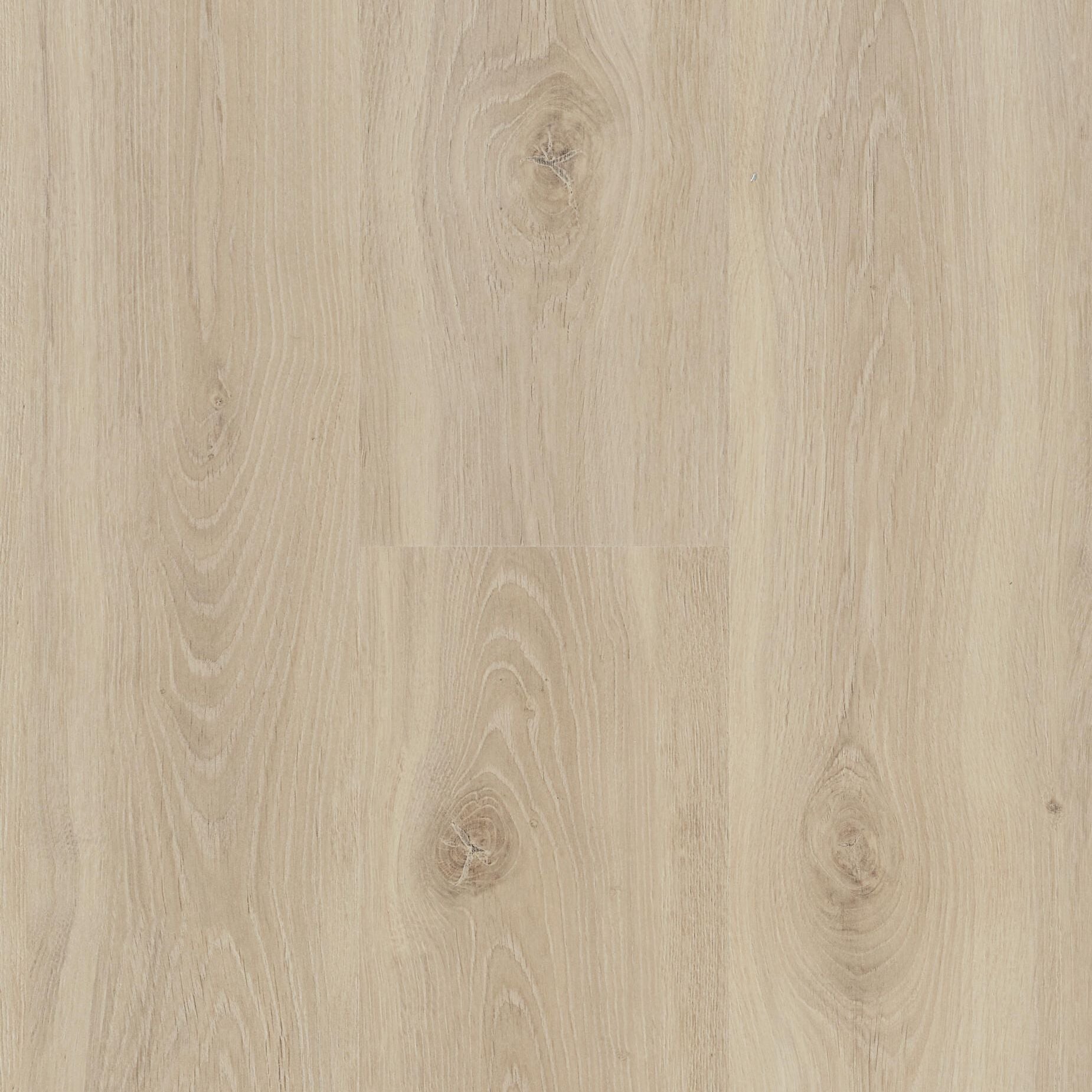 Berry Alloc Connect 8 62002422 Bloom Sand Natural Laminaat