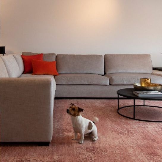 Interfloor Mystique 924 - Vloerbedekking - Tapijt