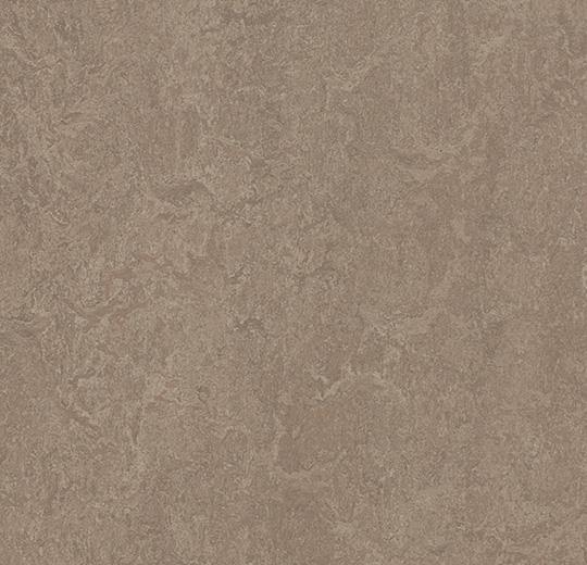 Marmoleum Fresco 3246 Shrike - HarmanXL Vloerenoutlet Amsterdam