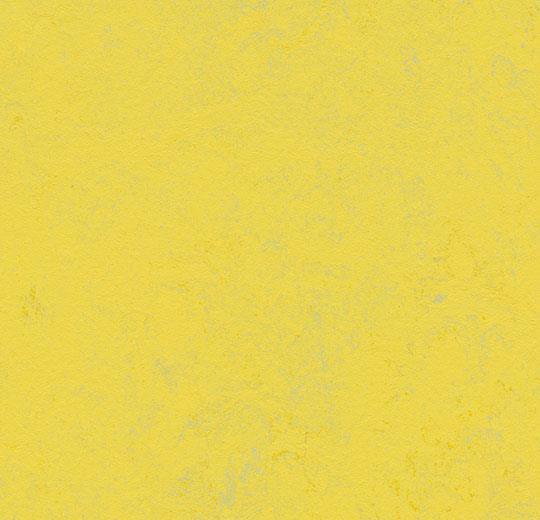 Marmoleum Concrete 3741 Yellow Glow - Linoleum - Harman Vloeren Amsterdam