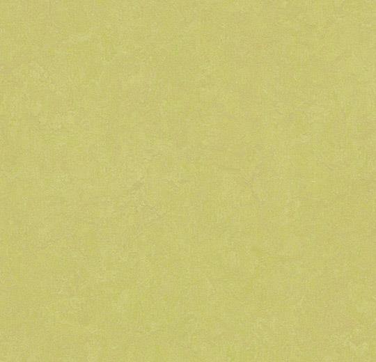 Marmoleum Fresco 3885 Spring Buds - HarmanXL Vloerenoutlet Amsterdam