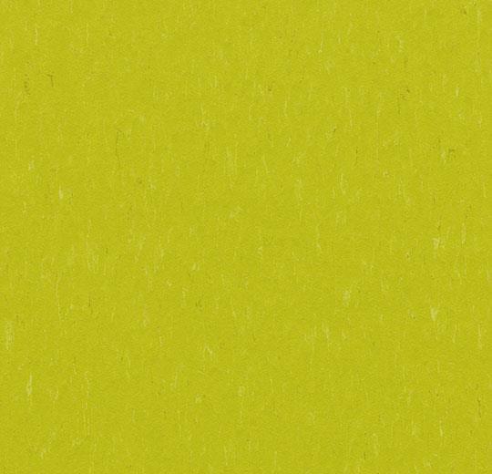 Marmoleum Piano 3646 Young Grass - Linoleum - Harman Vloeren Amsterdam