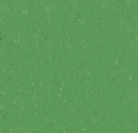 Marmoleum Piano 3647 Nettle Green - Linoleum - Harman Vloeren Amsterdam