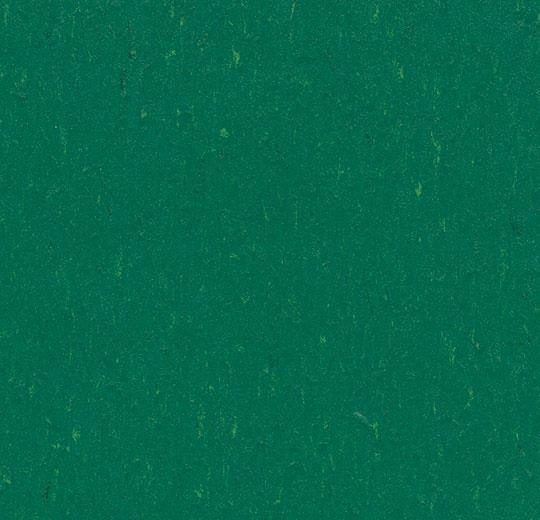 Marmoleum Piano 3649 Greenwood - Linoleum - Harman Vloeren Amsterdam