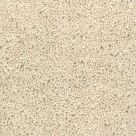 Nouwens Bogaers Woolstar 1401 Ivory - Wollen Tapijt - Vloerbedekking