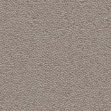 Ambiant Charlotte 0102 Warm Grijs - Vloerbedekking - Tapijt