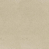 Desso Asteranne 50 1022 - Vloerbedekking - Tapijt