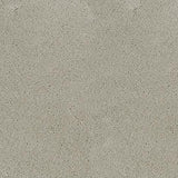 Desso Asteranne 50 1101 - Vloerbedekking - Tapijt