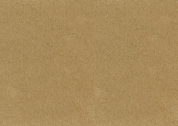 Desso Asteranne 50 2045 - Vloerbedekking - Tapijt - Harman Vloeren Amsterdam