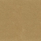 Desso Asteranne 50 2045 - Vloerbedekking - Tapijt