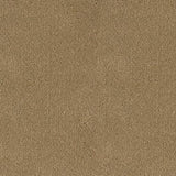 Desso Asteranne 50 2047 - Vloerbedekking - Tapijt