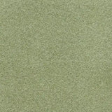 Parade Finesse 221 - Tapijt