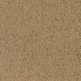 Desso Bouquette 2915 - Vloerbedekking - Tapijt
