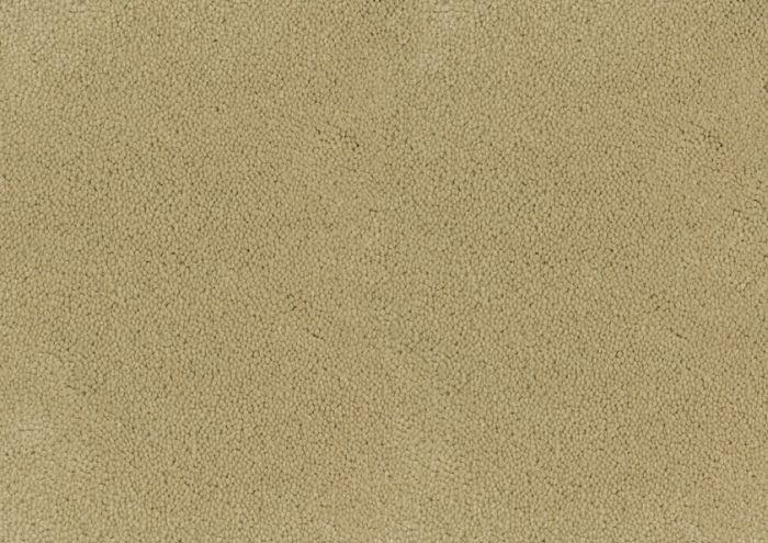 Desso Asteranne 50 2927 - Vloerbedekking - Tapijt - Harman Vloeren Amsterdam