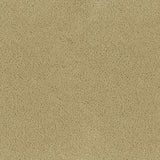 Desso Asteranne 50 2927 - Vloerbedekking - Tapijt