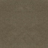 Desso Asteranne 50 2941 - Vloerbedekking - Tapijt