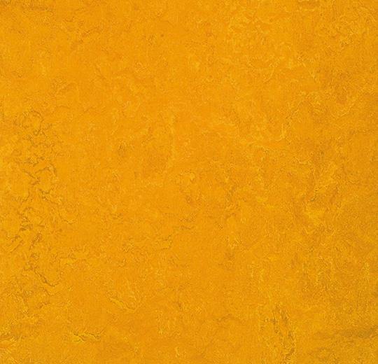 Marmoleum Fresco 3125 Golden Sunset - HarmanXL Vloerenoutlet Amsterdam