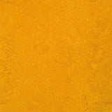 Marmoleum Fresco 3125 Golden Sunset - Linoleum
