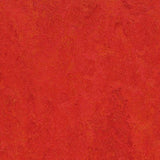 Marmoleum Fresco 3131 Scarlet - Linoleum
