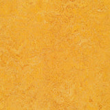 Marmoleum Decibel 322535 Dandelion - Linoleum