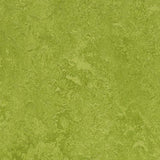 Marmoleum Fresco 3247 Green - Linoleum
