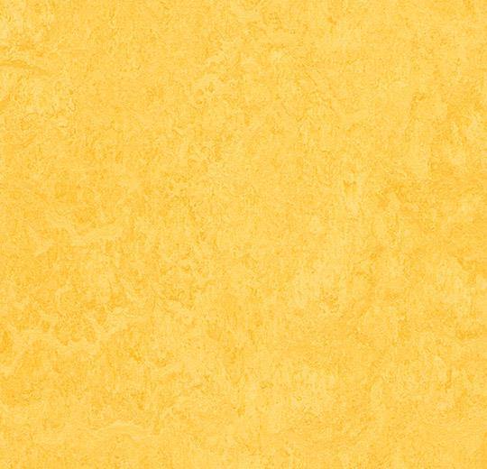 Marmoleum Fresco 3251 Lemon Zest - HarmanXL Vloerenoutlet Amsterdam