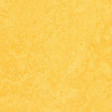 Marmoleum Fresco 3251 Lemon Zest - Linoleum