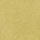 Marmoleum Fresco 3259 Mustard - Linoleum