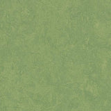 Marmoleum Fresco 3260 Leaf - Linoleum