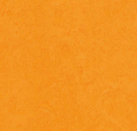 Marmoleum Fresco 3262 Marigold - HarmanXL Vloerenoutlet Amsterdam