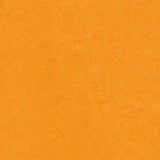 Marmoleum Fresco 3262 Marigold - Linoleum